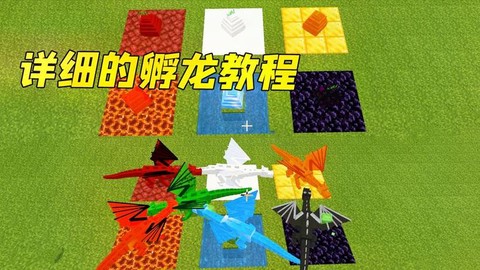 我的世界中龙蛋怎么孵化[图1]