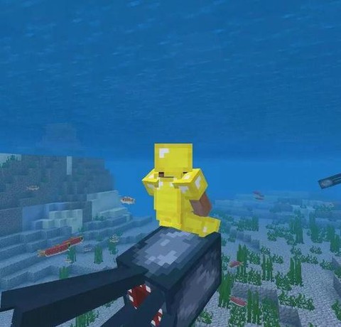 我的世界海洋版本更新了什么用[图2]