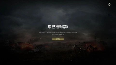 绝地求生说不了话怎么办[图2]